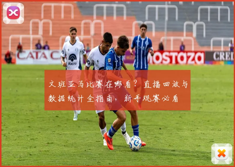 文班亚马比赛在哪看？直播回放与数据统计全指南，新手观赛必看